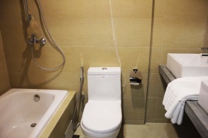 toilet family room
