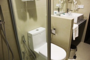 toilet